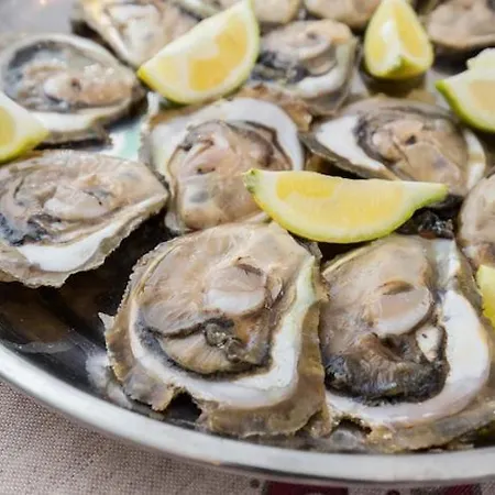 One Bedroom With Balcony And Sea View Crveni 아파트 *